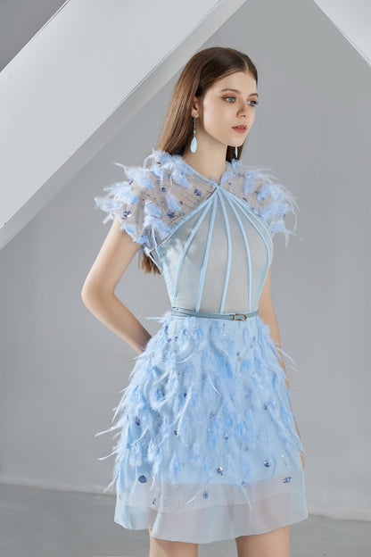 Briana A-line Halter Neck Organza Mini Dress