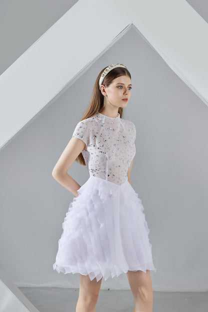 Savanna Puffy Short Sleeved Organza Mini Dress