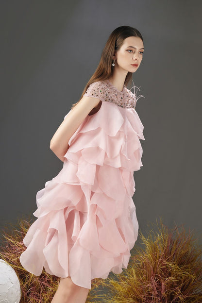 Jenny Layered Round Neck Organza Knee-length Dress